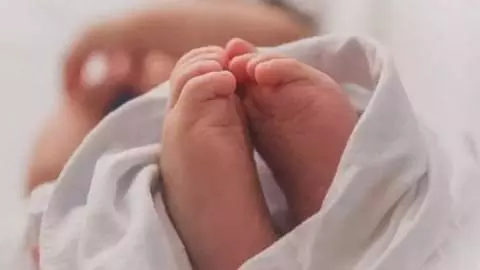 नशा तस्करी पर कार्रवाई, मालवाहक वाहन से चिट्टा बरामद नशा तस्करी पर कार्रवाई, मालवाहक वाहन से चिट्टा बरामद