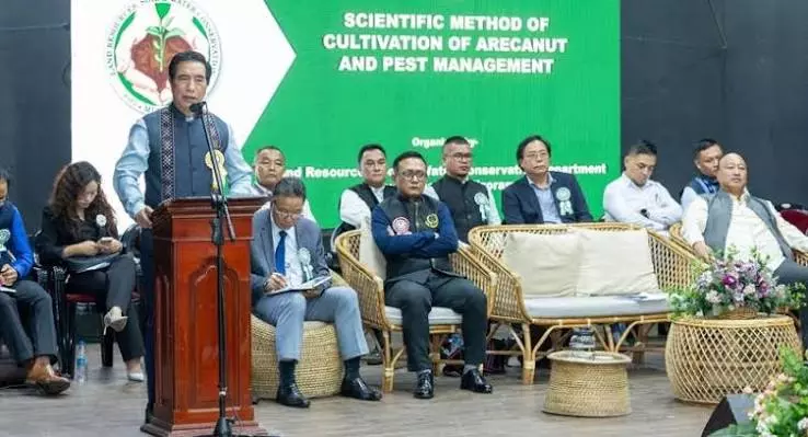 कीटों से बर्बाद हो रही फसल: मिज़ोरम CM ने केंद्र से मांगा सहयोग कीटों से बर्बाद हो रही फसल: मिज़ोरम CM ने केंद्र से मांगा सहयोग