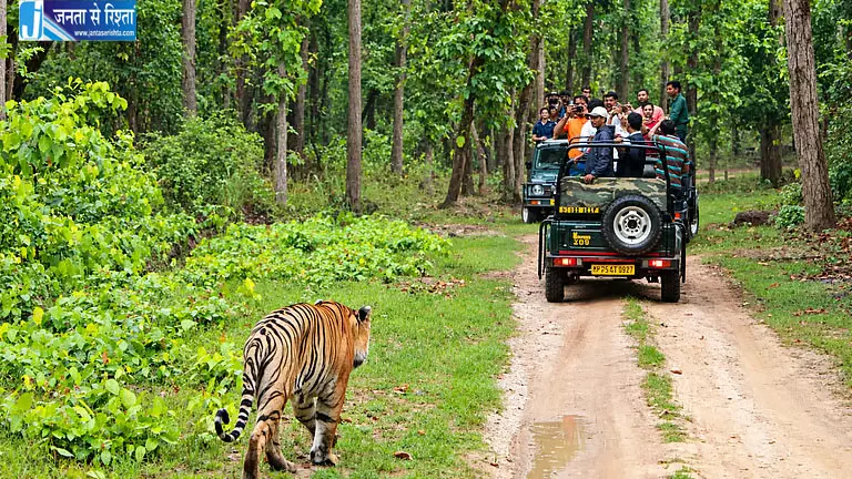 टाइगर सफारी में मोबाइल फोन पर बैन, अब जंगल में नहीं ले सकेंगे सेल्फी और वीडियो टाइगर सफारी में मोबाइल फोन पर बैन, अब जंगल में नहीं ले सकेंगे सेल्फी और वीडियो