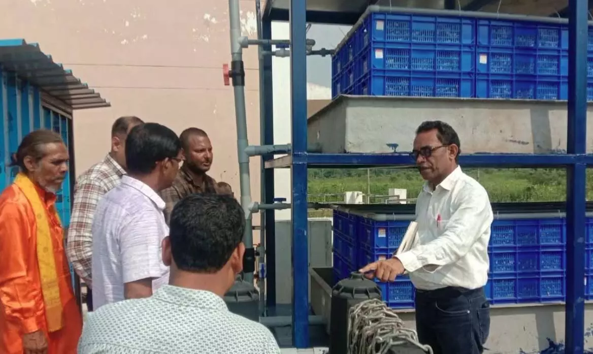 राज्य स्तरीय टीम ने गढ़उमरिया व नौरंगपुर में अपशिष्ट प्रबंधन संयंत्रों का किया निरीक्षण राज्य स्तरीय टीम ने गढ़उमरिया व नौरंगपुर में अपशिष्ट प्रबंधन संयंत्रों का किया निरीक्षण