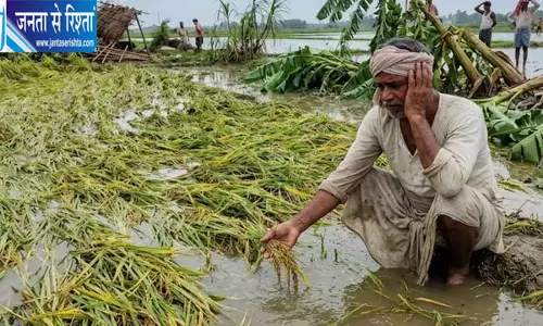जाते-जाते तबाही मचा गया मानसून, धान-गन्ने और केले की फसल बर्बाद, मुआवजे की आस में किसान