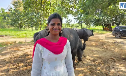 एक लाख रुपये के ऋण से शुरू किया डेयरी व्यवसाय, दो भैंसों से प्रतिदिन लगभग 20 लीटर दूध का उत्पादन एक लाख रुपये के ऋण से शुरू किया डेयरी व्यवसाय, दो भैंसों से प्रतिदिन लगभग 20 लीटर दूध का उत्पादन