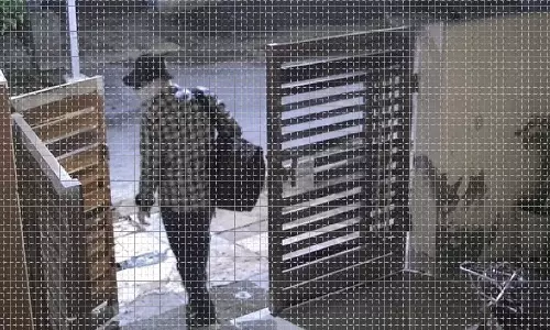 सांकेतिक तस्वीर (AI) सांकेतिक तस्वीर (AI)