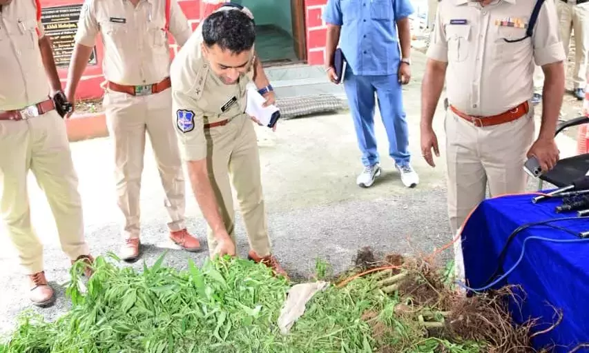 गांजे के पौधे उगाने के आरोप में महाराज गिरफ्तार, ग्रामीणों ने पुलिस पर किया हमला; 3 पुलिसकर्मी घायल गांजे के पौधे उगाने के आरोप में महाराज गिरफ्तार, ग्रामीणों ने पुलिस पर किया हमला; 3 पुलिसकर्मी घायल