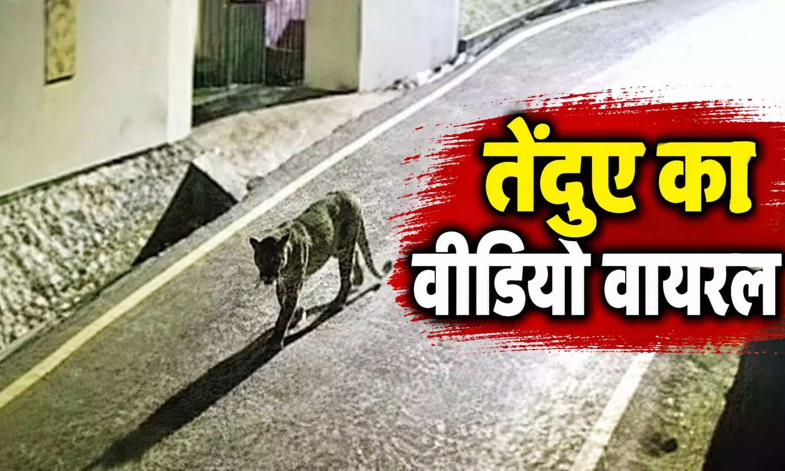 वायरल हुआ ऐसा वीडियो...ग्रामीणों में दहशत वायरल हुआ ऐसा वीडियो...ग्रामीणों में दहशत