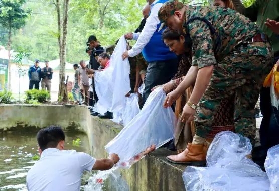 नदियों और मछलियों के संरक्षण के लिए सिक्किम में अनोखा उत्सव नदियों और मछलियों के संरक्षण के लिए सिक्किम में अनोखा उत्सव