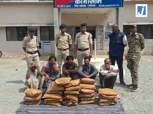 CG NEWS: महासमुंद में 47 किलो गांजा जब्त, 10 गिरफ्तार CG NEWS: महासमुंद में 47 किलो गांजा जब्त, 10 गिरफ्तार