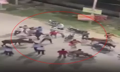 सोसाइटी के बाहर डिलीवरी राइडरों में भयंकर मारपीट, देखें मंजर सोसाइटी के बाहर डिलीवरी राइडरों में भयंकर मारपीट, देखें मंजर