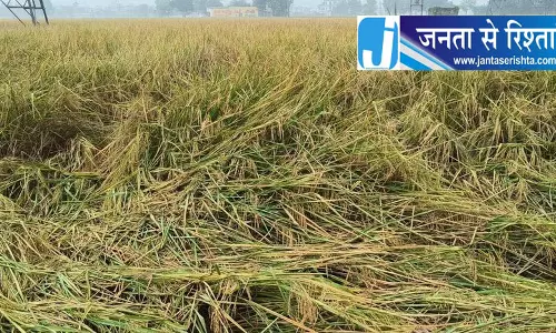 पंजाब में धान बहने से किसानों का गुस्सा, हाईवे जाम पंजाब में धान बहने से किसानों का गुस्सा, हाईवे जाम