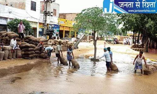 मालवा में बेमौसम बारिश से धान की फसल को नुकसान मालवा में बेमौसम बारिश से धान की फसल को नुकसान