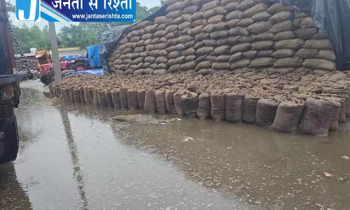 यमुनानगर में बारिश का कहर, मंडियों में भीगा धान