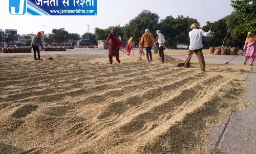 हरियाणा में खेतों में आग की घटनाएं घटीं, अब तक सिर्फ 5 मामले