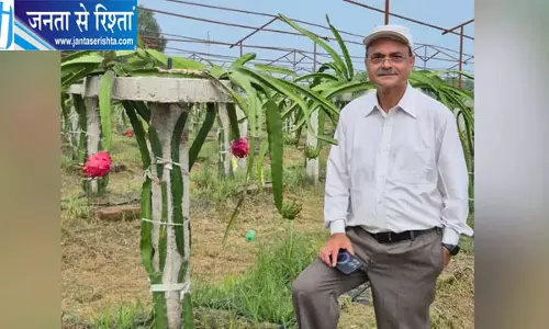 IIT से पढ़ाई, NHPC में निदेशक रहे, अब गांव में ड्रैगन फ्रूट उगाकर किसानों के लिए बने मिसाल