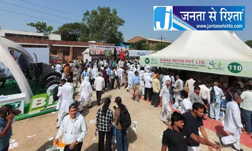 हरियाणा में कपास की खेती फिर शुरू करने की तैयारी तेज