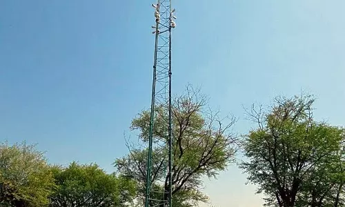 हरियाणा में प्रवासी पक्षियों की निगरानी करेंगे AI कैमरे हरियाणा में प्रवासी पक्षियों की निगरानी करेंगे AI कैमरे