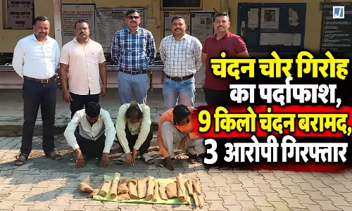 चंदन चोर गिरोह का पर्दाफाश, 9 किलो चंदन बरामद, 3 आरोपी गिरफ्तार चंदन चोर गिरोह का पर्दाफाश, 9 किलो चंदन बरामद, 3 आरोपी गिरफ्तार