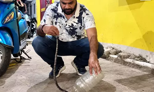 एक्टिवा में छिपा था जहरीला करैत सांप, देखते ही उड़े होश एक्टिवा में छिपा था जहरीला करैत सांप, देखते ही उड़े होश