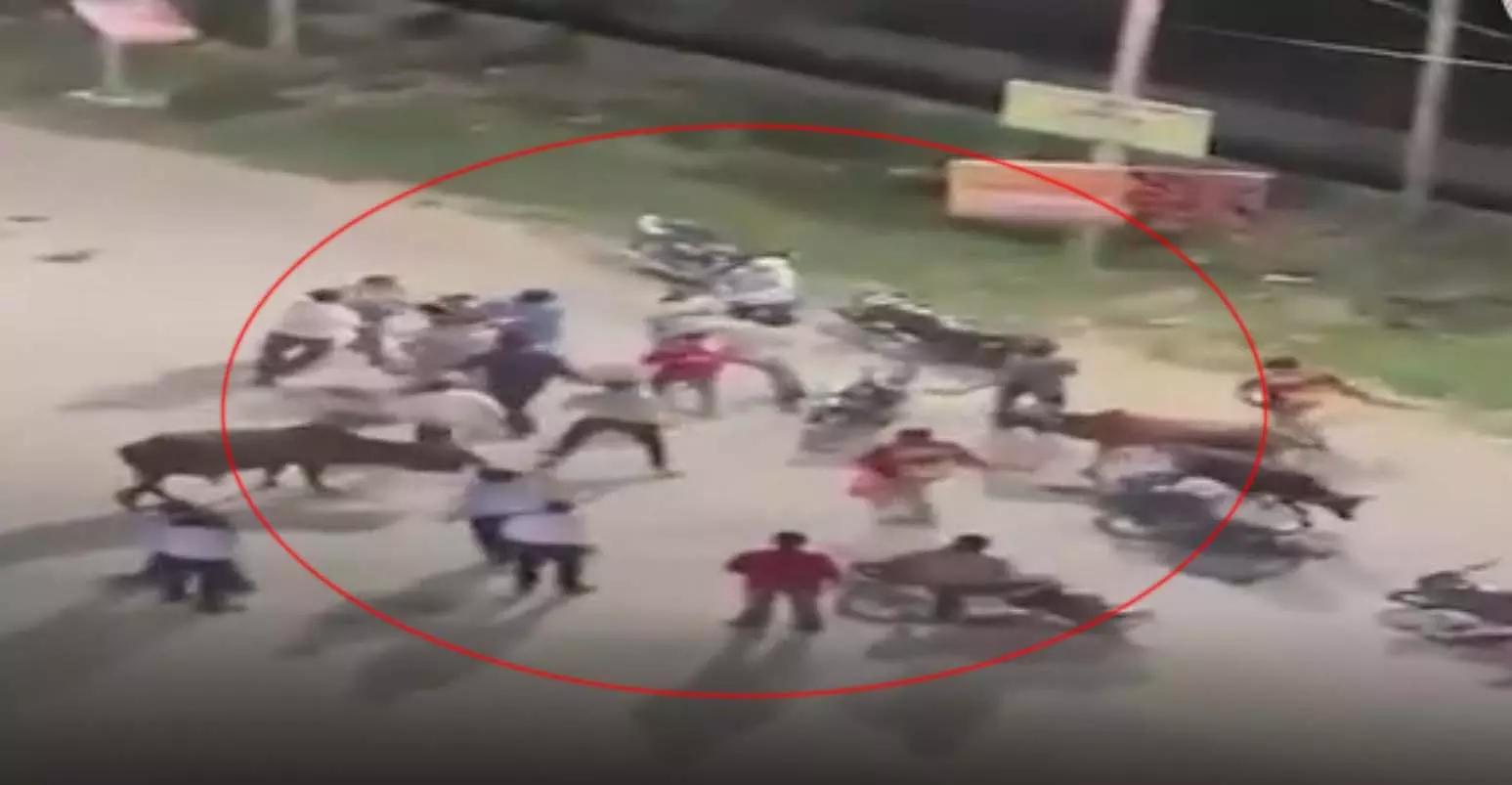 सोसाइटी के बाहर डिलीवरी राइडरों में भयंकर मारपीट, देखें मंजर सोसाइटी के बाहर डिलीवरी राइडरों में भयंकर मारपीट, देखें मंजर