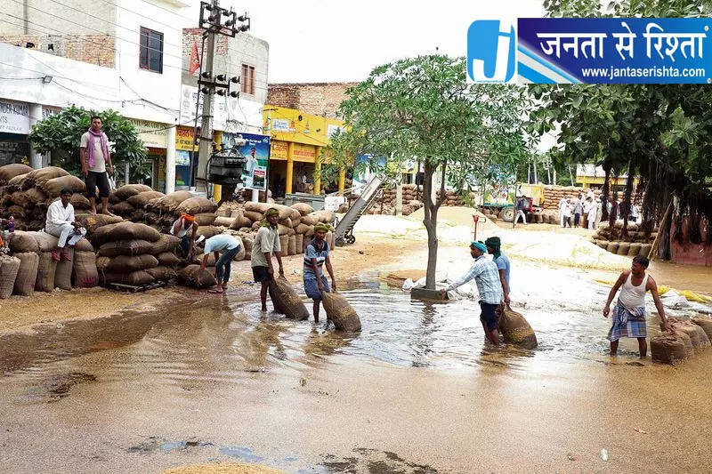 मालवा में बेमौसम बारिश से धान की फसल को नुकसान मालवा में बेमौसम बारिश से धान की फसल को नुकसान
