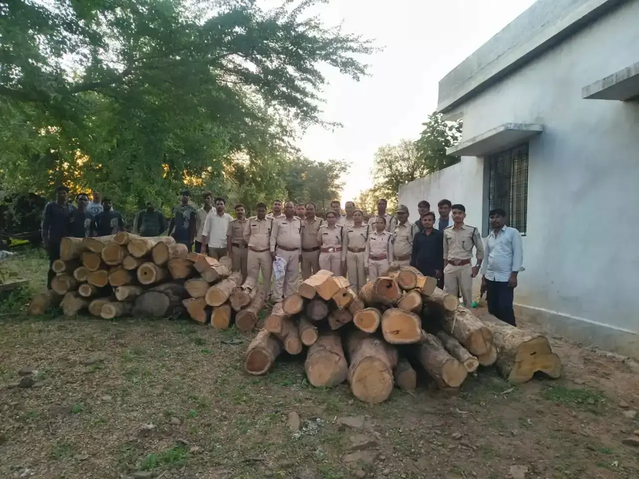 टाइगर रिजर्व में वन विभाग की बड़ी कार्रवाई, सागौन की लकड़ी पकड़ी टाइगर रिजर्व में वन विभाग की बड़ी कार्रवाई, सागौन की लकड़ी पकड़ी
