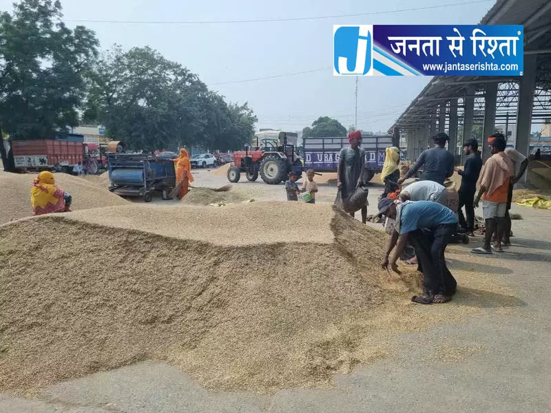 करनाल में धान खरीद प्रभावित, राइस मिलर्स की कमी बनी वजह करनाल में धान खरीद प्रभावित, राइस मिलर्स की कमी बनी वजह