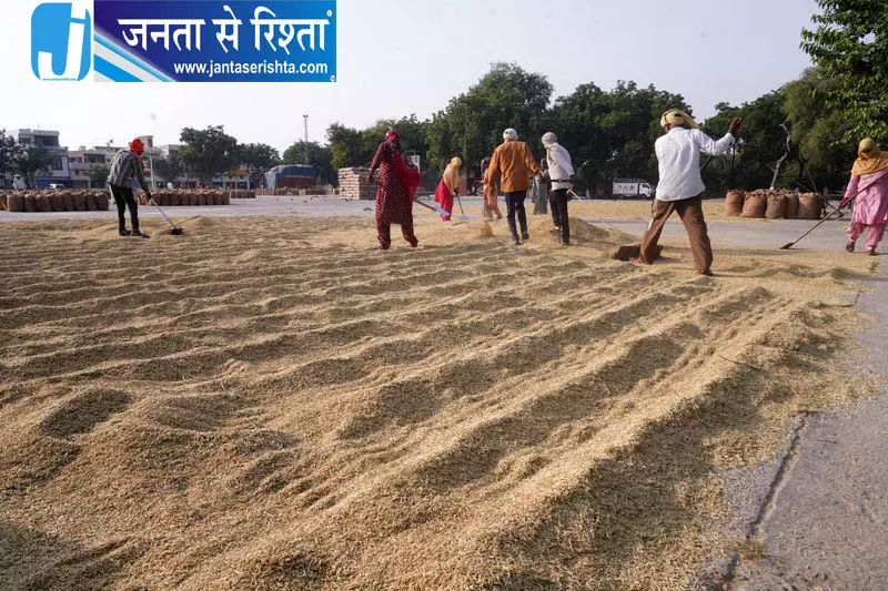 हरियाणा में खेतों में आग की घटनाएं घटीं, अब तक सिर्फ 5 मामले हरियाणा में खेतों में आग की घटनाएं घटीं, अब तक सिर्फ 5 मामले