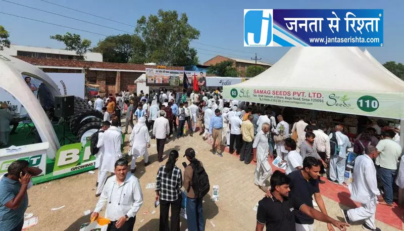हरियाणा में कपास की खेती फिर शुरू करने की तैयारी तेज हरियाणा में कपास की खेती फिर शुरू करने की तैयारी तेज