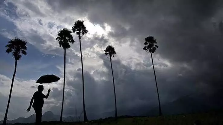 मौसम का मिज़ाज बदला: केरल के कई जिलों में भारी बारिश, येलो अलर्ट जारी मौसम का मिज़ाज बदला: केरल के कई जिलों में भारी बारिश, येलो अलर्ट जारी