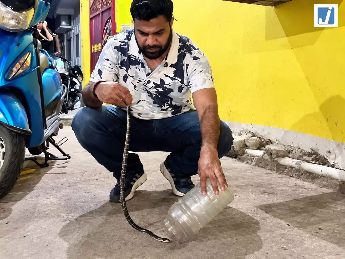 एक्टिवा में छिपा था जहरीला करैत सांप, देखते ही उड़े होश एक्टिवा में छिपा था जहरीला करैत सांप, देखते ही उड़े होश