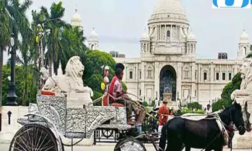 कोलकाता की सड़कों से हटेंगी घोड़ा-गाड़ियां, सरकार का नया प्लान कोलकाता की सड़कों से हटेंगी घोड़ा-गाड़ियां, सरकार का नया प्लान