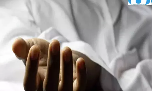 हिसार में ट्रक ने बाइक को मारी टक्कर, एक की मौत, दो घायल