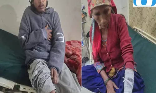 भालू के हमले से जोशीमठ में दहशत, चार लोगों को किया घायल भालू के हमले से जोशीमठ में दहशत, चार लोगों को किया घायल