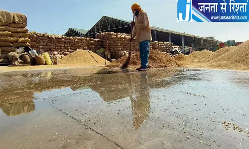 पंजाब में बारिश का कहर, 13,500 हेक्टेयर धान की फसल बर्बाद पंजाब में बारिश का कहर, 13,500 हेक्टेयर धान की फसल बर्बाद