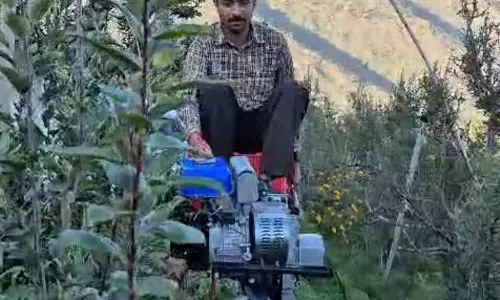 हिमाचल के सेब बाग में दौड़ी मोनोरेल, मजदूरों की कमी से मिलेगी राहत हिमाचल के सेब बाग में दौड़ी मोनोरेल, मजदूरों की कमी से मिलेगी राहत
