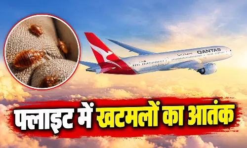 फ्लाइट में खटमलों का आतंक, कंपनी ने विमान को किया ग्राउंड