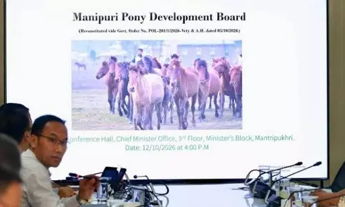 मणिपुरी पोनी का संरक्षण: सीएम बिरेन सिंह ने शुरू की डिजिटल रजिस्ट्री