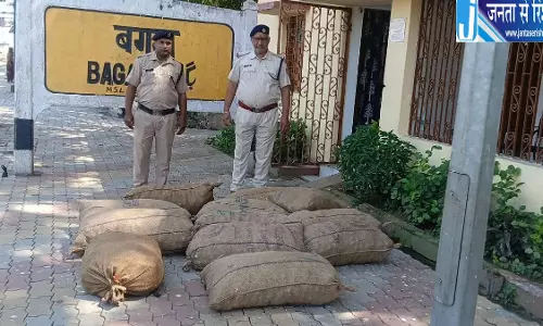 चाइनीज लहसुन की अवैध एंट्री, 12 बोरियां जब्त