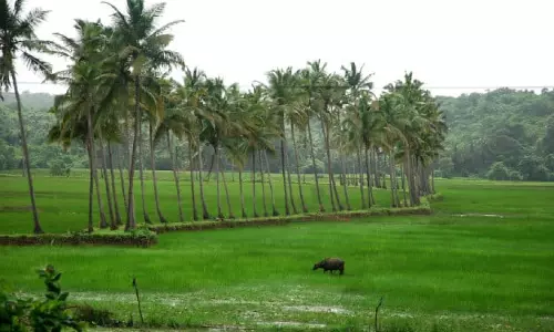 जुलाई में हुई भारी बारिश ने गोवा की हवा को साफ़ रखा