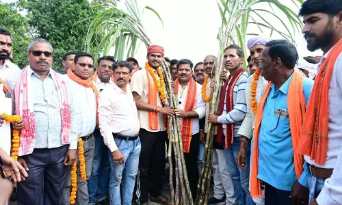 गन्ने का मूल्य 425 रुपये प्रति क्विंटल होने पर किसानों में खुशी
