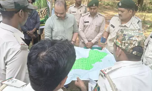 वृक्षों के पातन और लॉगिंग पर आयोजित हुई वर्कशॉप वृक्षों के पातन और लॉगिंग पर आयोजित हुई वर्कशॉप