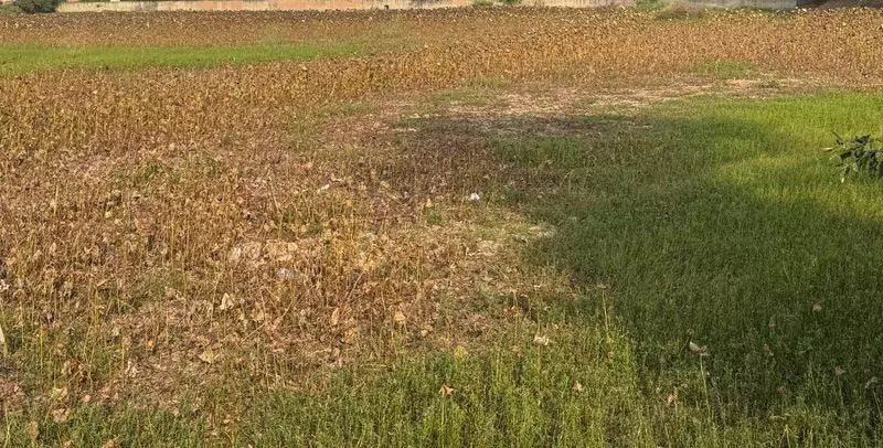 दिल्ली के 9 गांवों में औद्योगिक इस्तेमाल के लिए जमीन चिह्नित दिल्ली के 9 गांवों में औद्योगिक इस्तेमाल के लिए जमीन चिह्नित