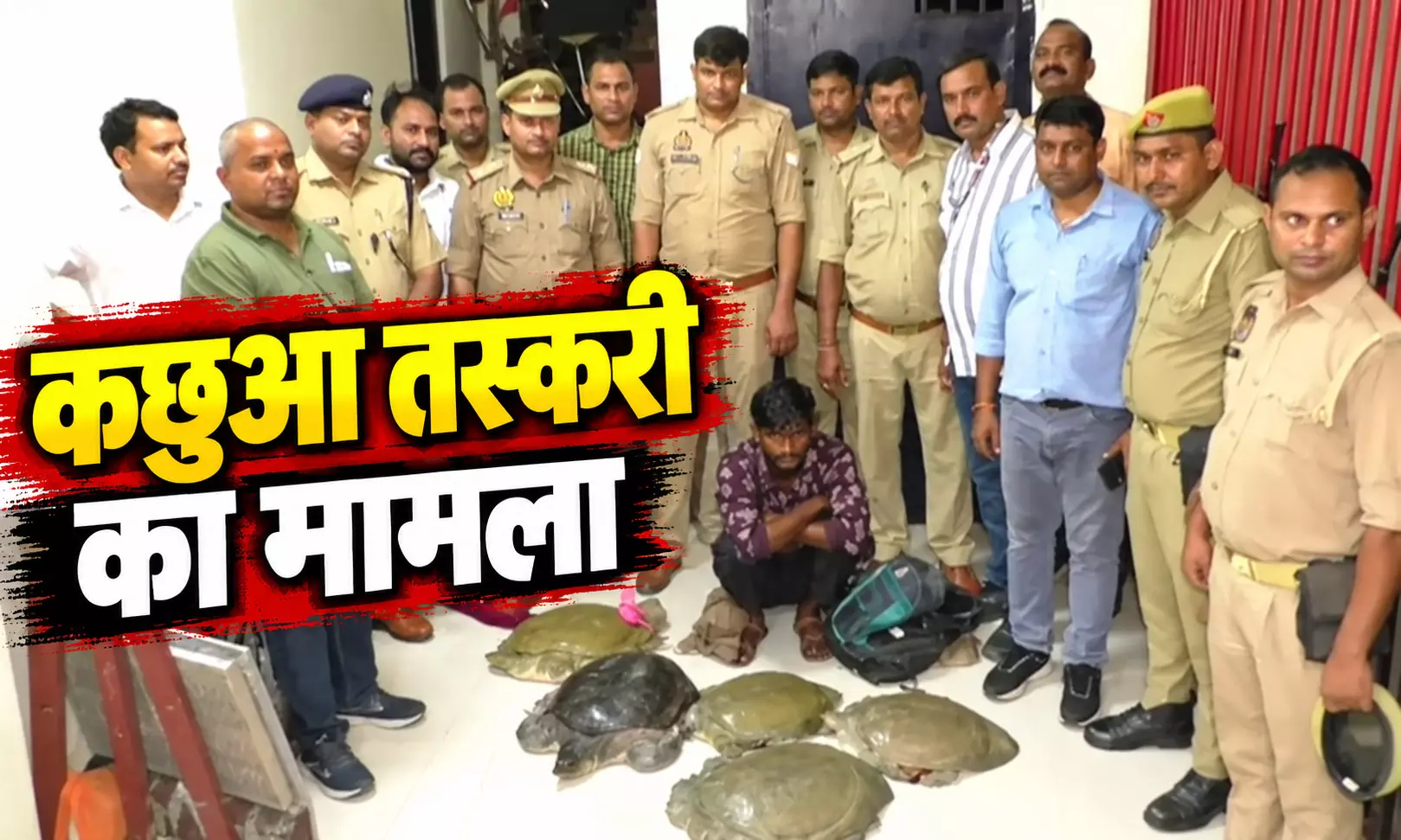 ट्रेन में 12 लाख के कछुओं की तस्करी, बैग खोलते ही पुलिस रह गई हैरान ट्रेन में 12 लाख के कछुओं की तस्करी, बैग खोलते ही पुलिस रह गई हैरान