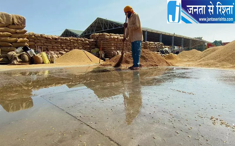 पंजाब में बारिश का कहर, 13,500 हेक्टेयर धान की फसल बर्बाद पंजाब में बारिश का कहर, 13,500 हेक्टेयर धान की फसल बर्बाद