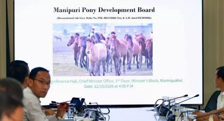 मणिपुरी पोनी का संरक्षण: सीएम बिरेन सिंह ने शुरू की डिजिटल रजिस्ट्री मणिपुरी पोनी का संरक्षण: सीएम बिरेन सिंह ने शुरू की डिजिटल रजिस्ट्री
