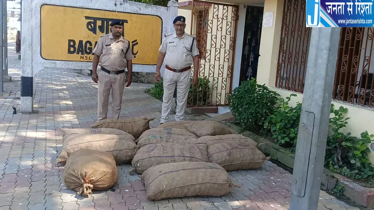 चाइनीज लहसुन की अवैध एंट्री, 12 बोरियां जब्त चाइनीज लहसुन की अवैध एंट्री, 12 बोरियां जब्त