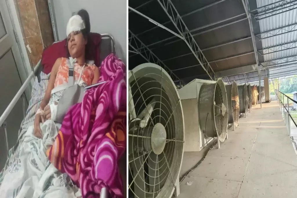 हैपजान चाय फैक्ट्री हादसा: कर्मचारियों की सुरक्षा पर सवाल