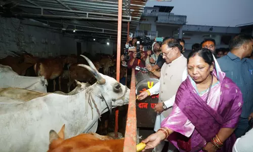मुख्यमंत्री विष्णुदेव साय ने शिवरीनारायण में भगवान नर-नारायण के किए दर्शन मुख्यमंत्री विष्णुदेव साय ने शिवरीनारायण में भगवान नर-नारायण के किए दर्शन