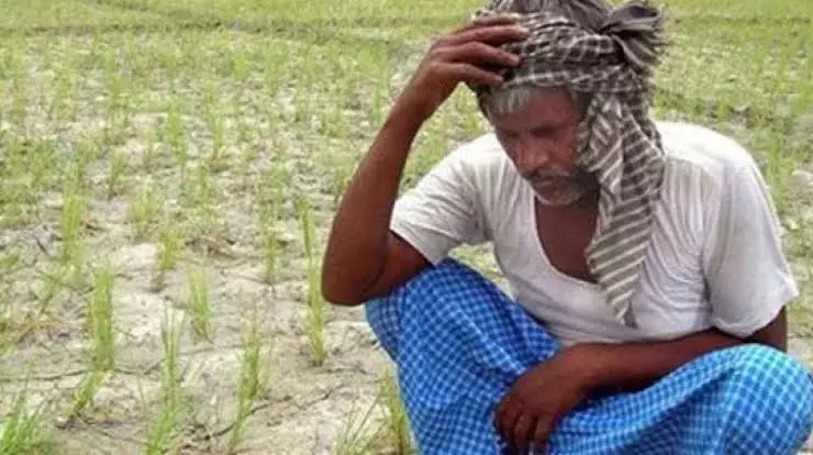 नागाई में भारी बारिश से जनजीवन प्रभावित, किसान खुश नागाई में भारी बारिश से जनजीवन प्रभावित, किसान खुश