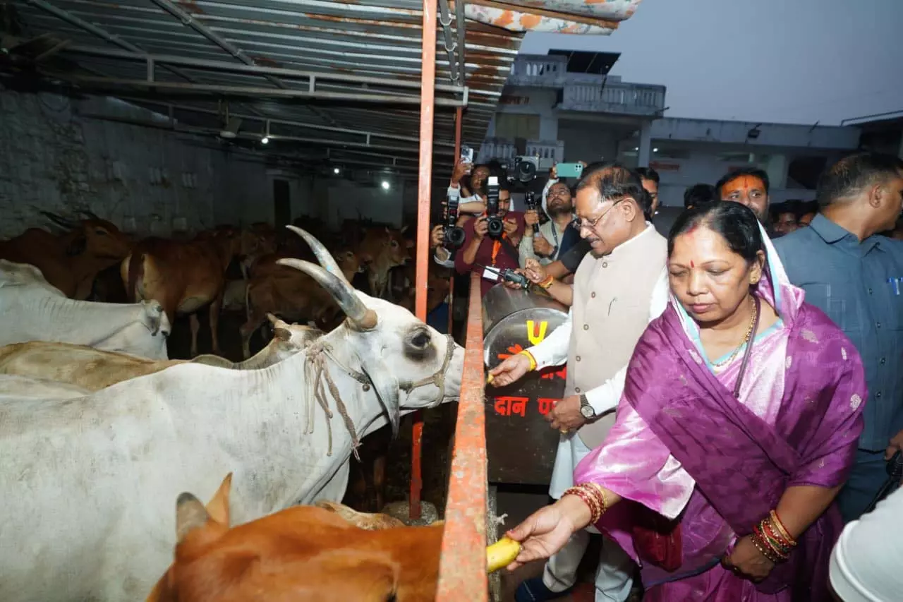 मुख्यमंत्री विष्णुदेव साय ने शिवरीनारायण में भगवान नर-नारायण के किए दर्शन मुख्यमंत्री विष्णुदेव साय ने शिवरीनारायण में भगवान नर-नारायण के किए दर्शन