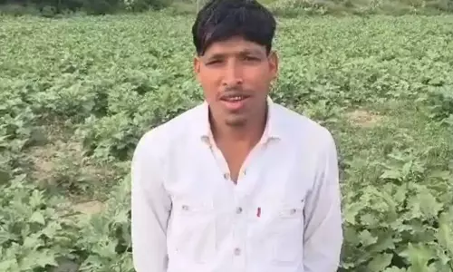 बागवानी खेती से किसानों की आमदनी में बढ़ोतरी, सब्जियों से अच्छा लाभ